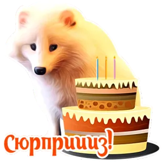 🎉 8871b716 Сюрприиз! volpe, torta, sorpresa, compleanno, animale, festa telegram sticker