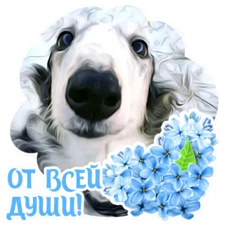 🤗 952d4b3e ОТ ВСЕЙ ДУШИ! cane, borzoi, lilla, fiori, saluto, russo, sano telegram sticker