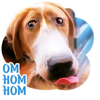 🌭 a0f1e86d OM
HOM
HOM cane, leccare, carino, animale domestico, animale, adesivo telegram sticker