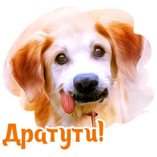 😜 a4201e14 Дратути! cane, animale domestico, animale, carino, cartone animato, adesivo telegram sticker