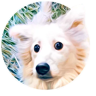 Dogs by @dognfox telegram stickers