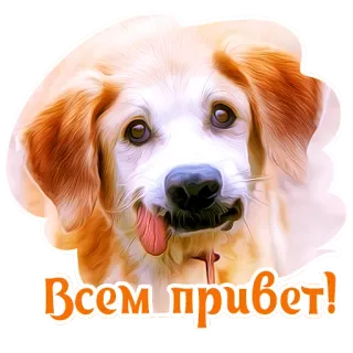 ✌️ e73e5ac3 Всем привет! cane, saluto, russo, ciao, animale domestico, cucciolo telegram sticker