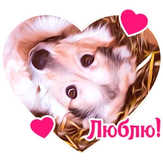 💕 ea182799 Люблю! cane, cuore, amore, carino, animale, adesivo telegram sticker