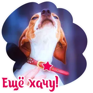 🙃 ec605c86 Ещё хочу! cane, carino, voglio, più, russo, cucciolo telegram sticker