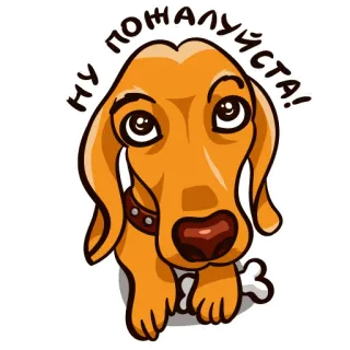 dachshundRicha whatsapp stickers