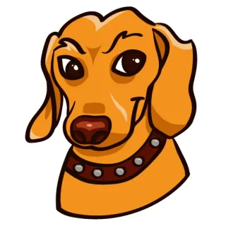 😏 b44aa397 개, 애완동물, 동물, 만화, 스티커, 갈색, 목걸이 telegram sticker