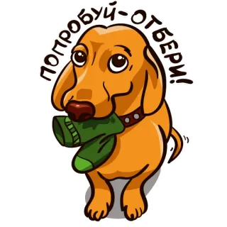 dachshundRicha telegram stickers