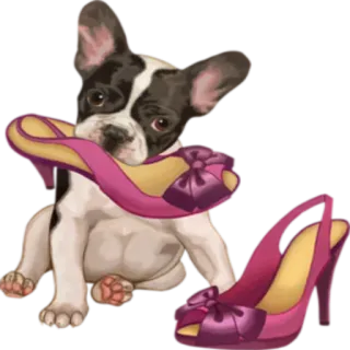 Dogs @StikerDi whatsapp stickers