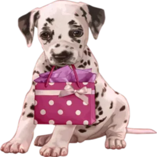 Dogs @StikerDi telegram stickers