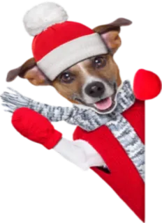 🙃 70bcc8b9 cane, inverno, natale, cappello, sciarpa, carino whatsapp sticker