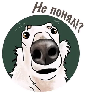😐 59b09b3c Не понял!? anjing, ekspresi, tidak yakin, bingung, pertanyaan telegram sticker