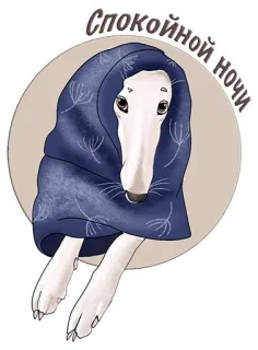 💤 bc8d30bd Спокойной ночи anjing, selimut, selamat malam, lucu, mengantuk telegram sticker