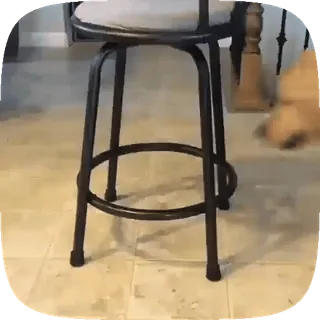 🐶 c7a45b05 telegram sticker