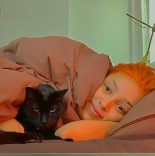 🐚 1d45a72f 猫, 女人, 宠物, 床, 困, 休息 telegram sticker