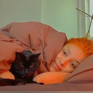 🐚 6d417f29 猫, 人, 床, 毯子, 困, 可爱 telegram sticker