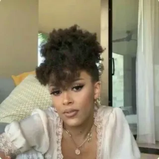 🐚 b97c93bd telegram sticker