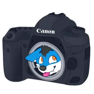 📸 891def4b Canon カメラ, キャノン, 犬, 毛むくじゃら, 写真, ステッカー telegram sticker
