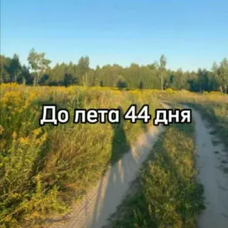 ☀️ 0e936f76 До лета 44 дня verão, natureza, dias, estrada, árvores whatsapp sticker
