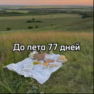 ☀️ 1b23c7fa До лета 77 дней verão, piquenique, natureza, paisagem, viagem, relaxamento whatsapp sticker