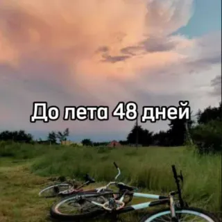 ☀️ 1d58d841 До лета 48 дней verão, dias, contagem regressiva, bicicleta, natureza, grama, pôr do sol whatsapp sticker