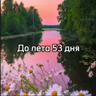 ☀️ 20f472c4 До лета 53 дня verão, contagem regressiva, natureza, flores, rio, pôr do sol whatsapp sticker