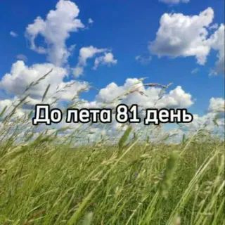 ☀️ 2d8b4bd7 До лета 81 день verão, contagem regressiva, campo, natureza, nuvens whatsapp sticker