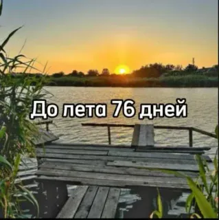☀️ 36778bed До лета 76 дней verão, pôr do sol, natureza, lago, dias até o verão whatsapp sticker