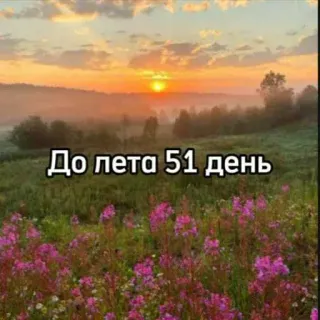☀️ 73421994 До лета 51 день natureza, verão, flores, nascer do sol, campo, contagem regressiva, dias, paisagem whatsapp sticker