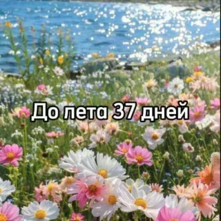 ☀️ 788a0e8c До лета 37 дней verão, contagem regressiva, dias, flores, natureza, mar, paisagem whatsapp sticker