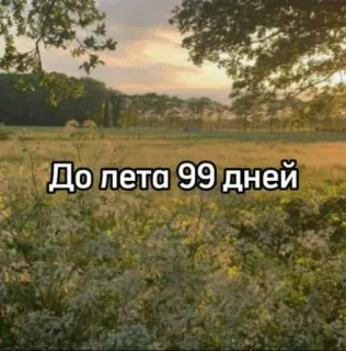 ☀️ 86cf4015 До лета 99 дней natureza, verão, dias, contagem regressiva, campo, paisagem whatsapp sticker