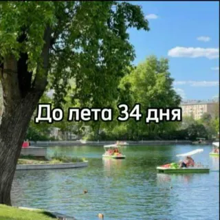 ☀️ 96f03662 До лета 34 дня verão, dias, parque, lago, árvores whatsapp sticker