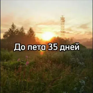 ☀️ bc36a0a9 До лета 35 дней verão, contagem regressiva, natureza, paisagem, dias, estação, sol, pôr do sol whatsapp sticker