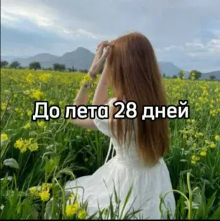 ☀️ be8c04f3 До лета 28 дней natureza, menina, verão, campo, flores whatsapp sticker