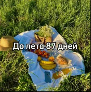☀️ ea7aace6 До лета 87 дней verão, piquenique, grama, natureza, dias até o verão, relaxamento, lazer, comida whatsapp sticker