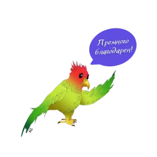 NL telegram stickers