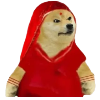 😡 02c9087d doge, Hund, indisch, Sari, Meme, lustig, Kultur telegram sticker