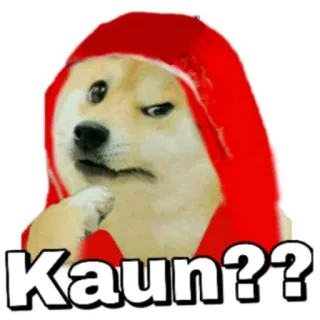 🤐 81003b1f Doge Kaun?? doge, meme, verwirrt, denken, hund, hindi telegram sticker