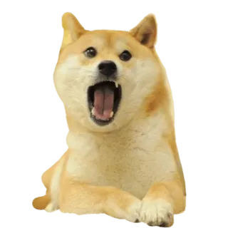 😮 8152ceb0 Doge Hund, Meme, Doge, Tier, Haustier, lustig telegram sticker