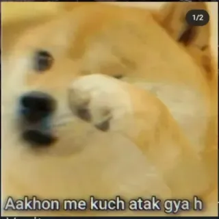 😣 9bad0a35 Aakhon me kuch atak gya h doge, meme, hund, augen, lustig telegram sticker