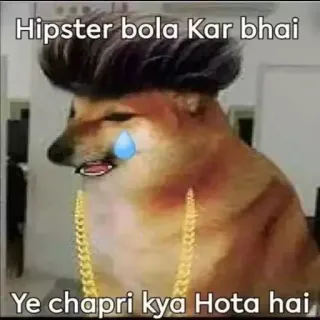 🥲 c0da4bbd Hipster bola Kar bhai
Ye chapri kya Hota hai Doge, Meme, Hund, weinend, Hipster, lustig telegram sticker
