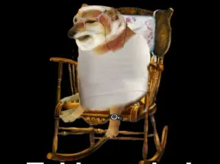 🧓 23ecfd2e Doge, Hund, Schaukelstuhl, Meme, Opa, Alt, Haustier telegram sticker