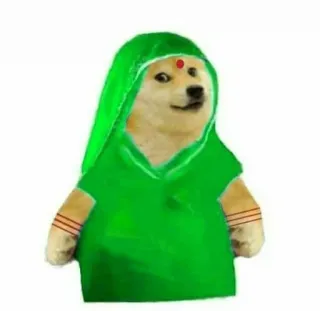👩 2de96785 Doge doge, meme, indisch, Sari, traditionell, Kultur telegram sticker