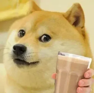 ☕ 3902ea21 doge Doge, Hund, Meme, Getränk, Schokoladenmilch telegram sticker