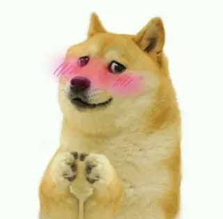 😘 3a9c7f3e Doge Hund, Meme, Süß, Erröten telegram sticker