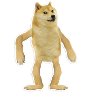 🧍‍♂️ 4c127c47 Doge Hund, Meme, Lustig, Doge, Tier, Haustier telegram sticker