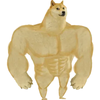 💪 4f1cf90a Doge Meme, Hund, Muskeln, Lustig telegram sticker