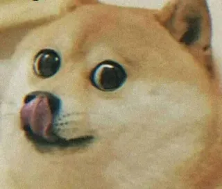 😋 4f4d0b8a doge Hund, Meme, lustig, Internet Meme telegram sticker