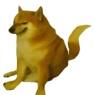 ⚡ 8b5bf150 Doge Hund, Meme, Cheems, Tier telegram sticker
