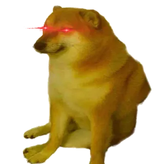👀 8e68e9a3 Hund, Meme, Cheems, Laseraugen telegram sticker
