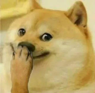 🤣 c200be61 Doge doge, hund, meme, lustig, tier telegram sticker